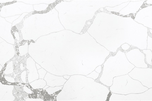 MT8024