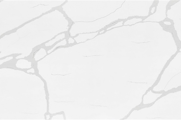 MT8029